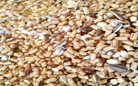 قیمت کنسانتره آجیلی اسب + خرید باور نکردنی